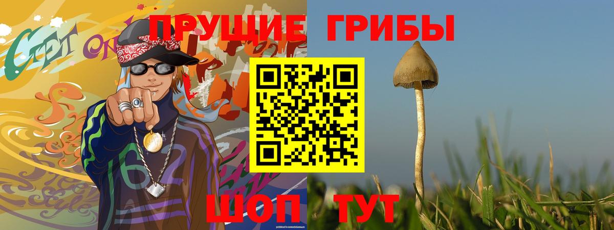 Галлюциногенные грибы Psilocybe Урус-Мартан